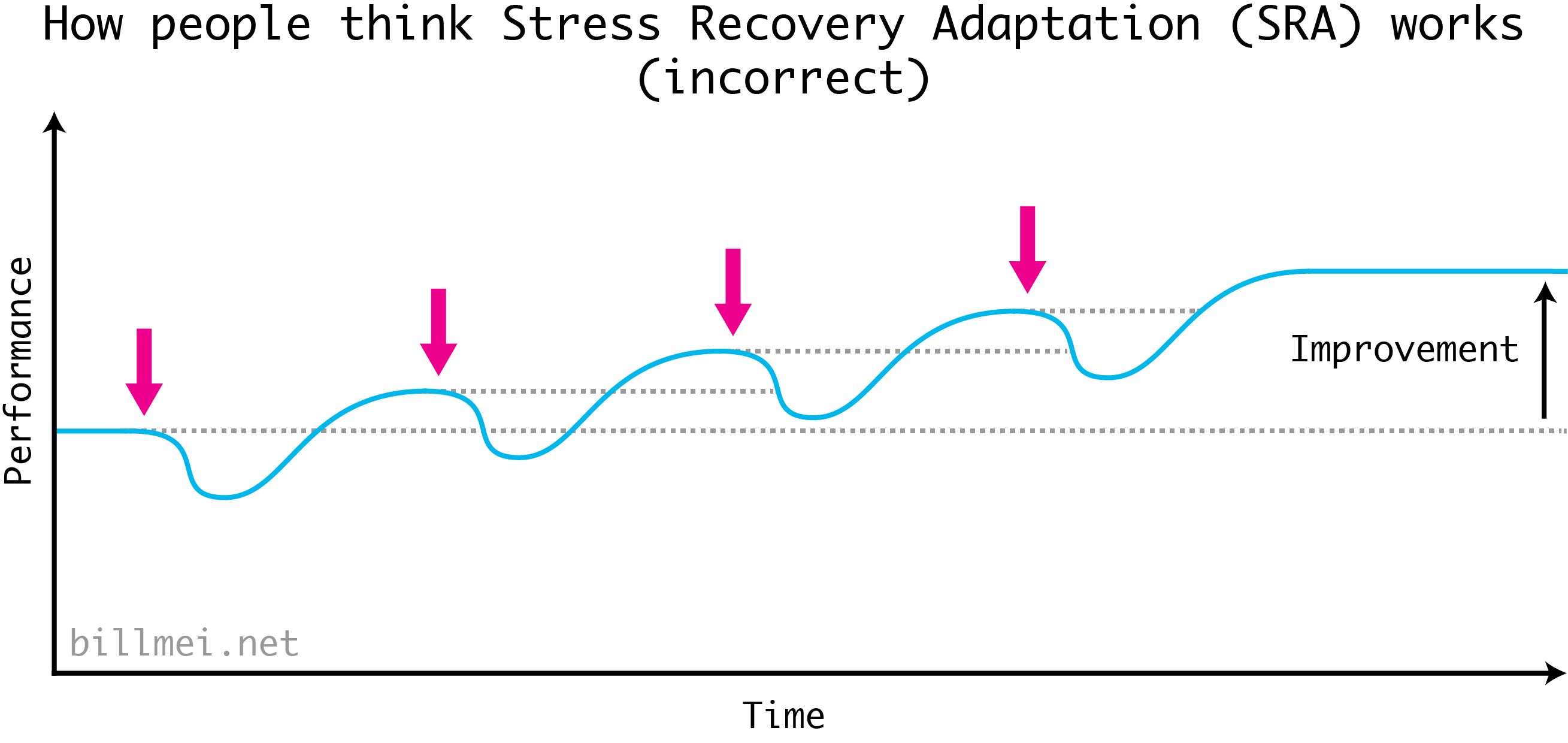 The classic diagram of the Strength Recovery Adaptation (SRA) cycle. Just as you recover to a higher baseline, you perform another workout to apply additional stress, and in order to move your fitness baseline even higher