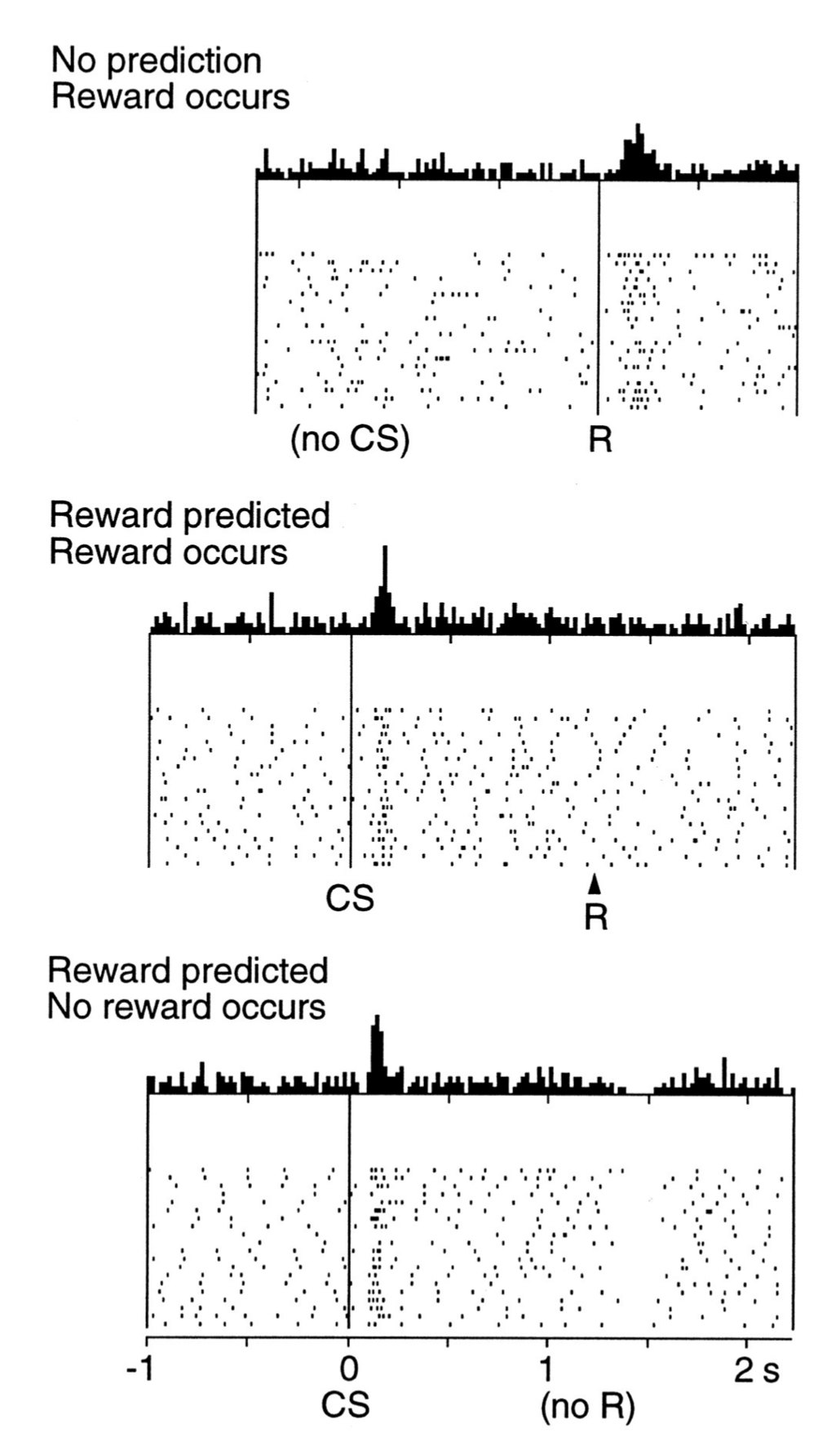 Diagram of dopamine response to stimuli. Description of this image follows below.