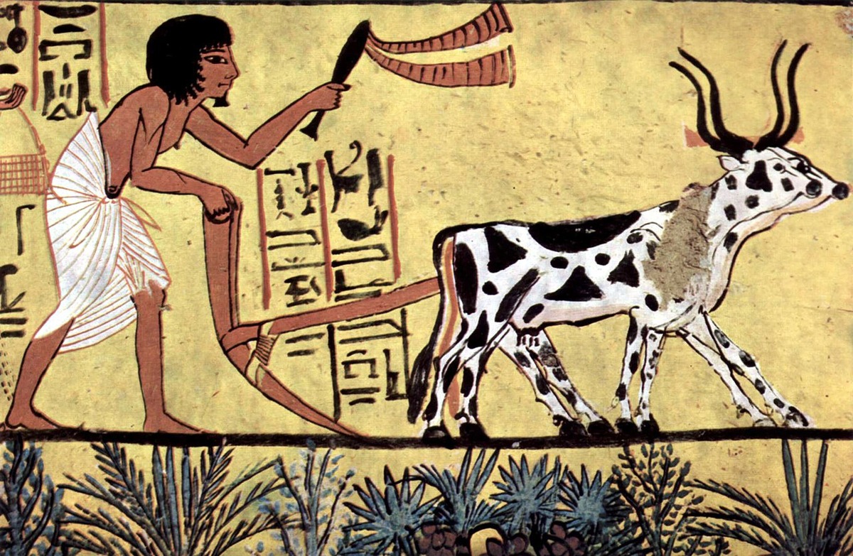 Ancient Egyptian wall painting depicting a man herding spotted cattle, with hieroglyphs in the background